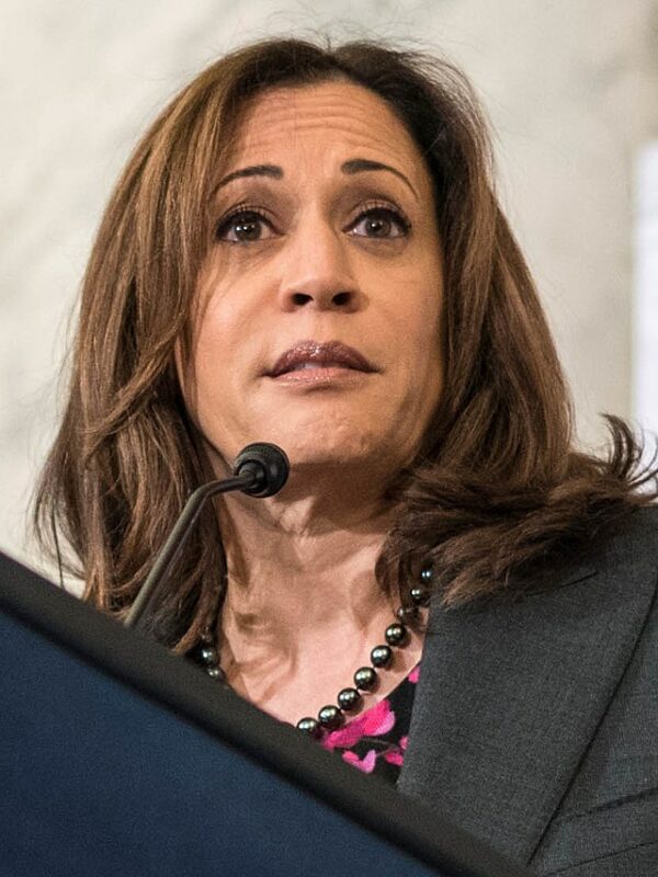 Kamala Harris’s Campaign Donation To Al Sharpton’s Nonprofit Raises ...